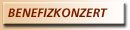 Unser j&auml;hrliches Benefizkonzert